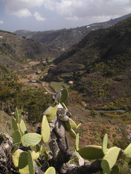 Wandern im Barranco Oscuro in Gran Canaria
